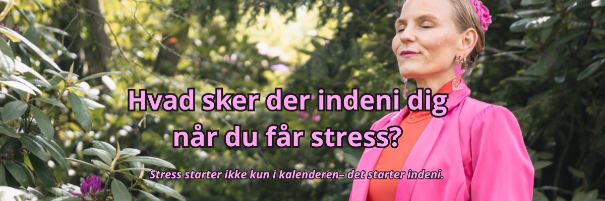 Beskrivende billedtekst