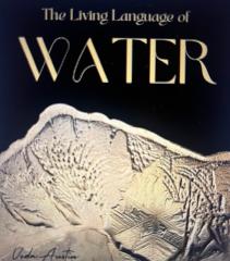 Kid Pouring Liquid Colouring Onto Egg