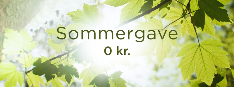 Beskrivende billedtekst