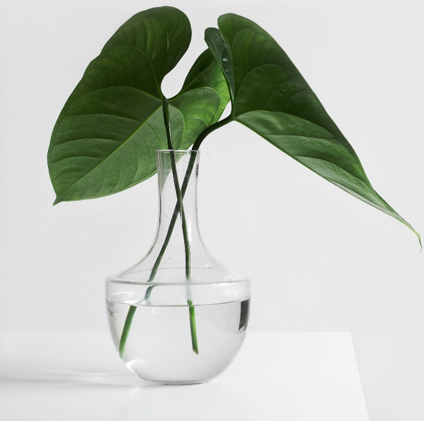 Beskrivende billedtekst