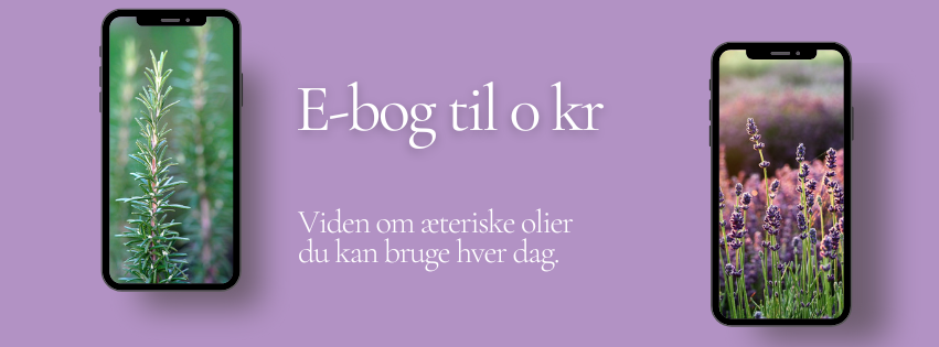Beskrivende billedtekst