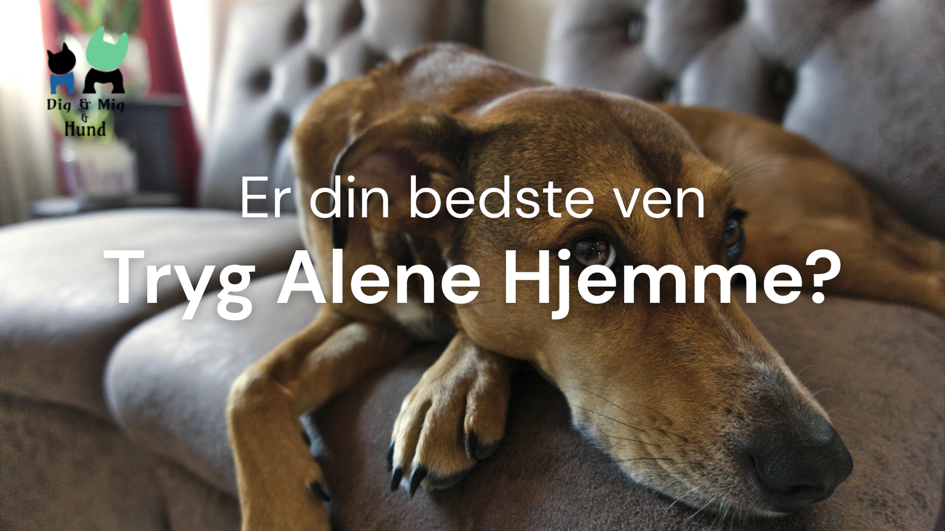 Beskrivende billedtekst