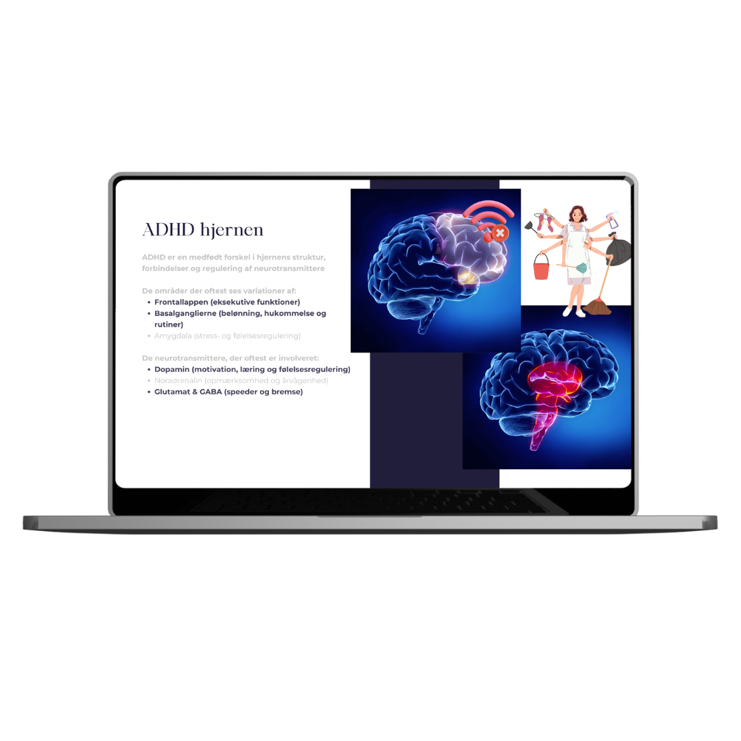 Beskrivende billedtekst