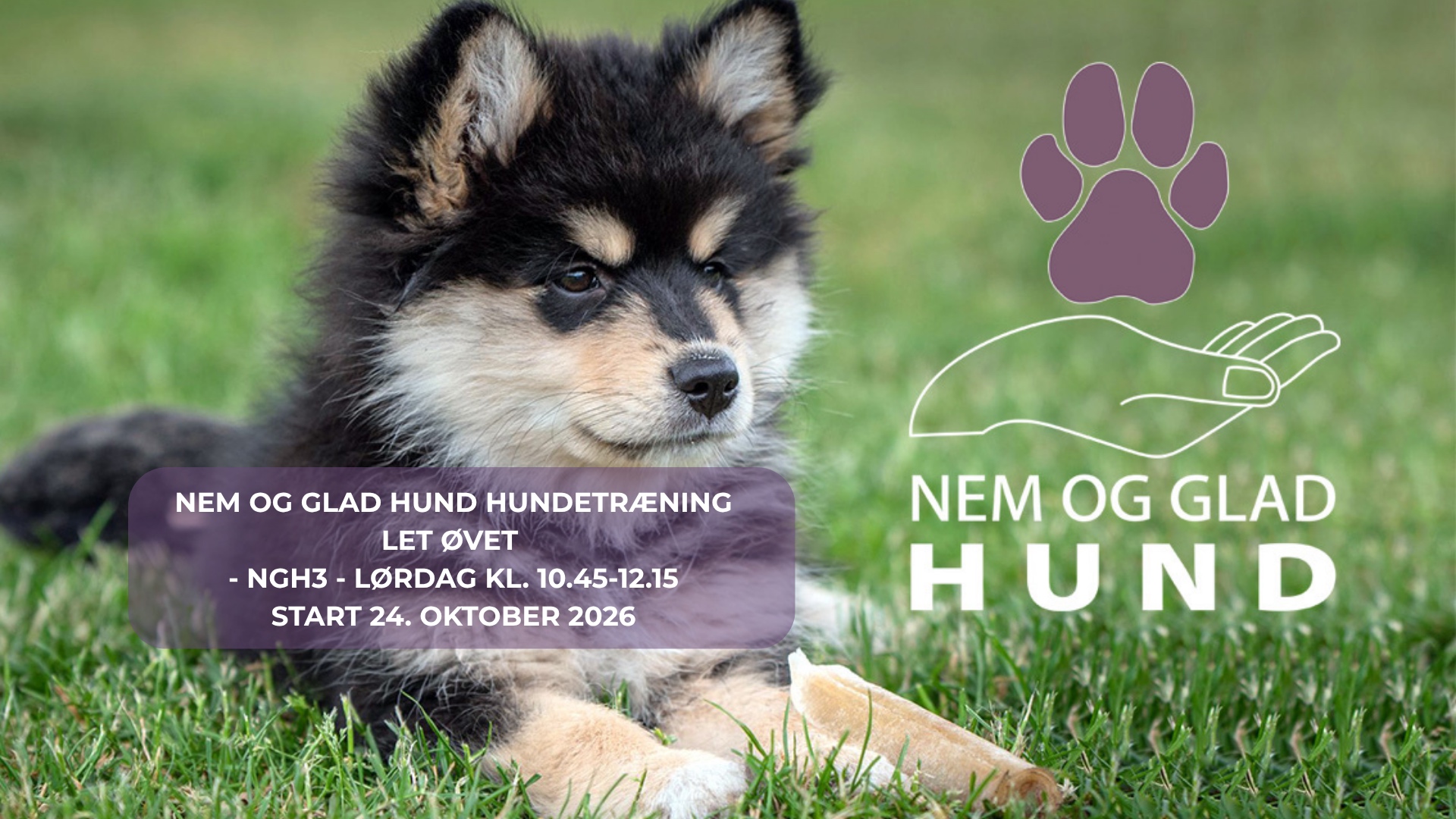 NEM-GLAD-HUND-HUNDETRÆNING-NGH3