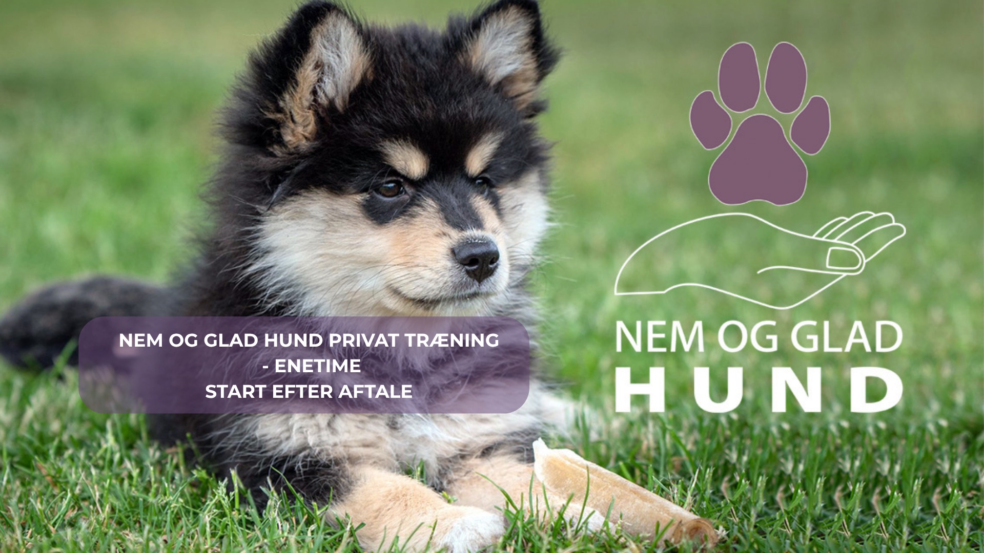 NEM-GLAD-HUND-HUNDETRÆNING-ENETIME