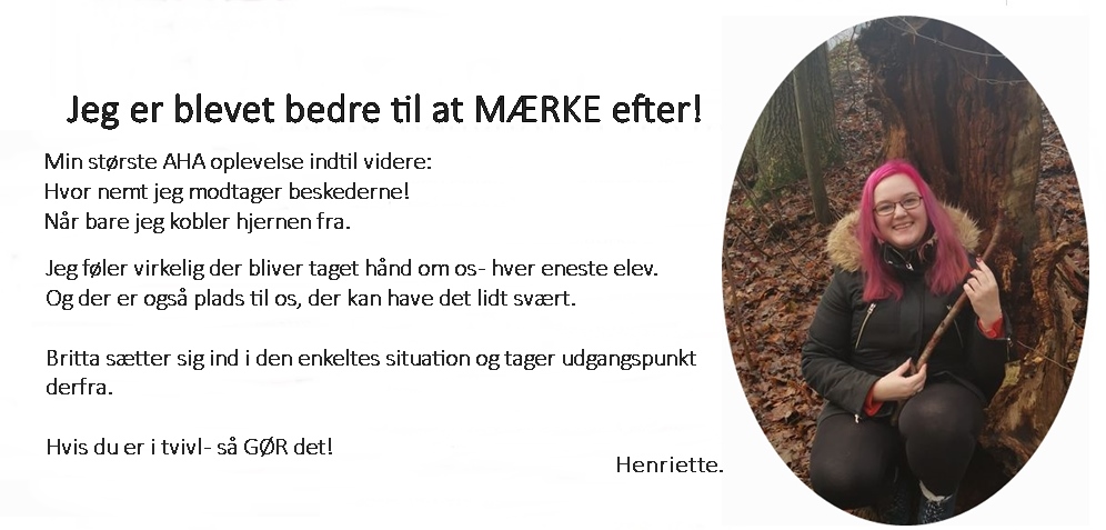 Beskrivende billedtekst