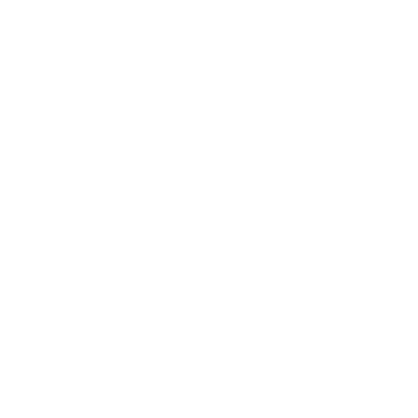 Beskrivende billedtekst