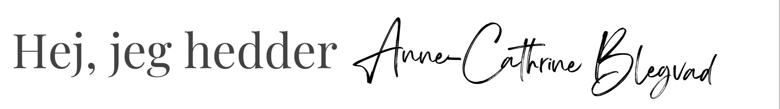 Beskrivende billedtekst