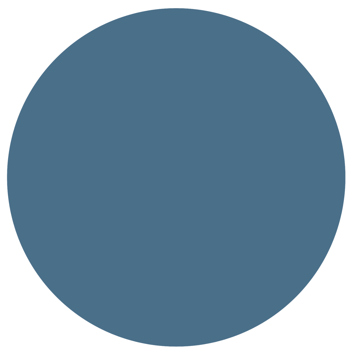 Beskrivende billedtekst