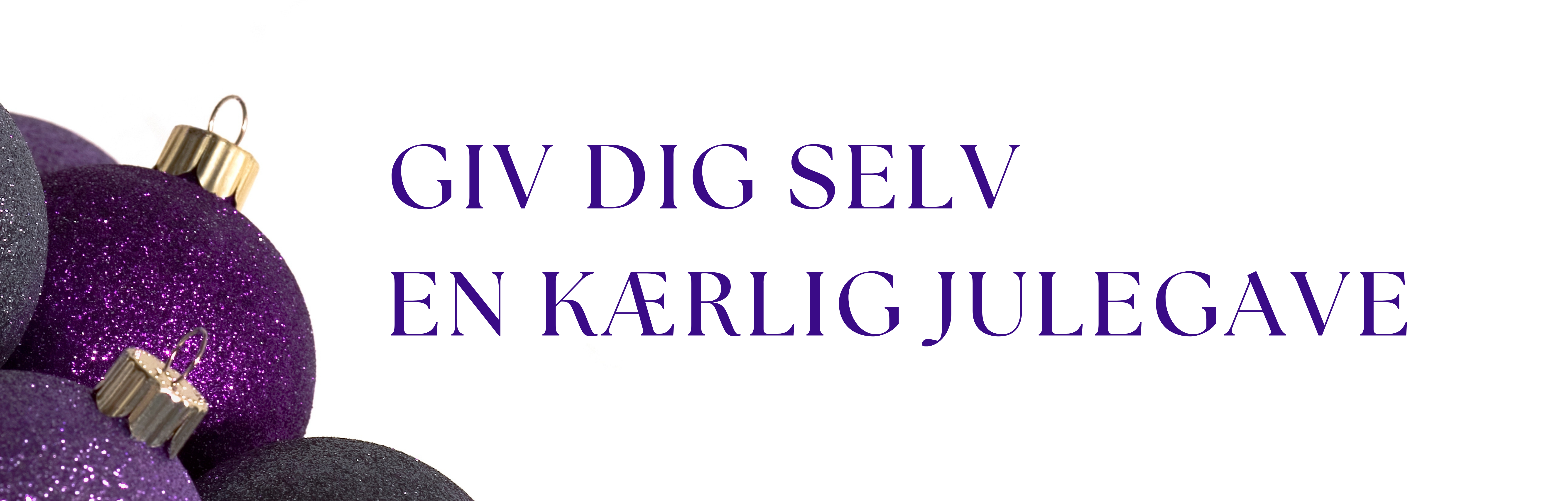 Beskrivende billedtekst