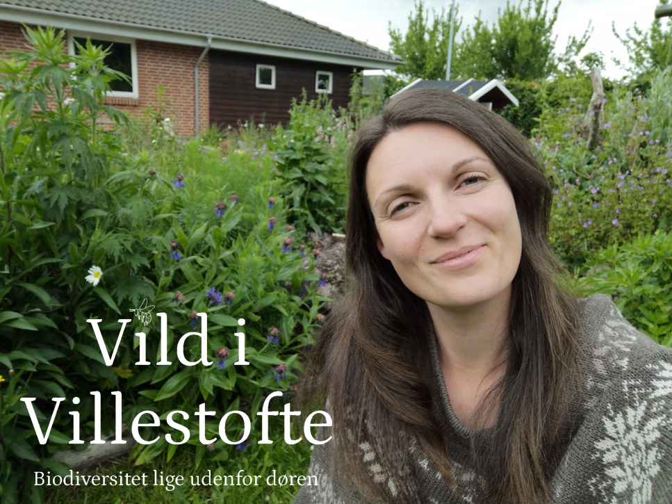 a group of people hugging on a hill