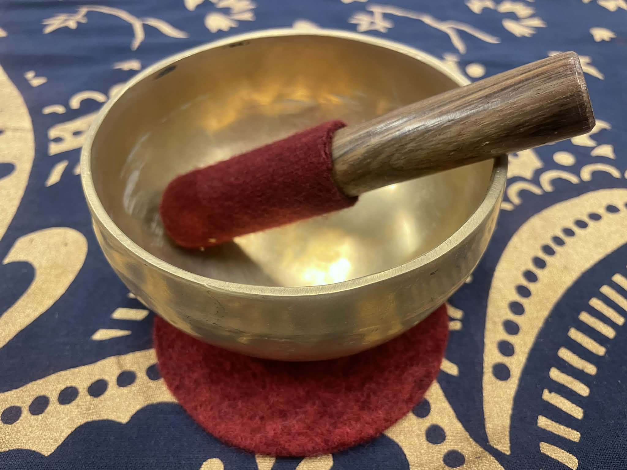 a group of people working on laptops