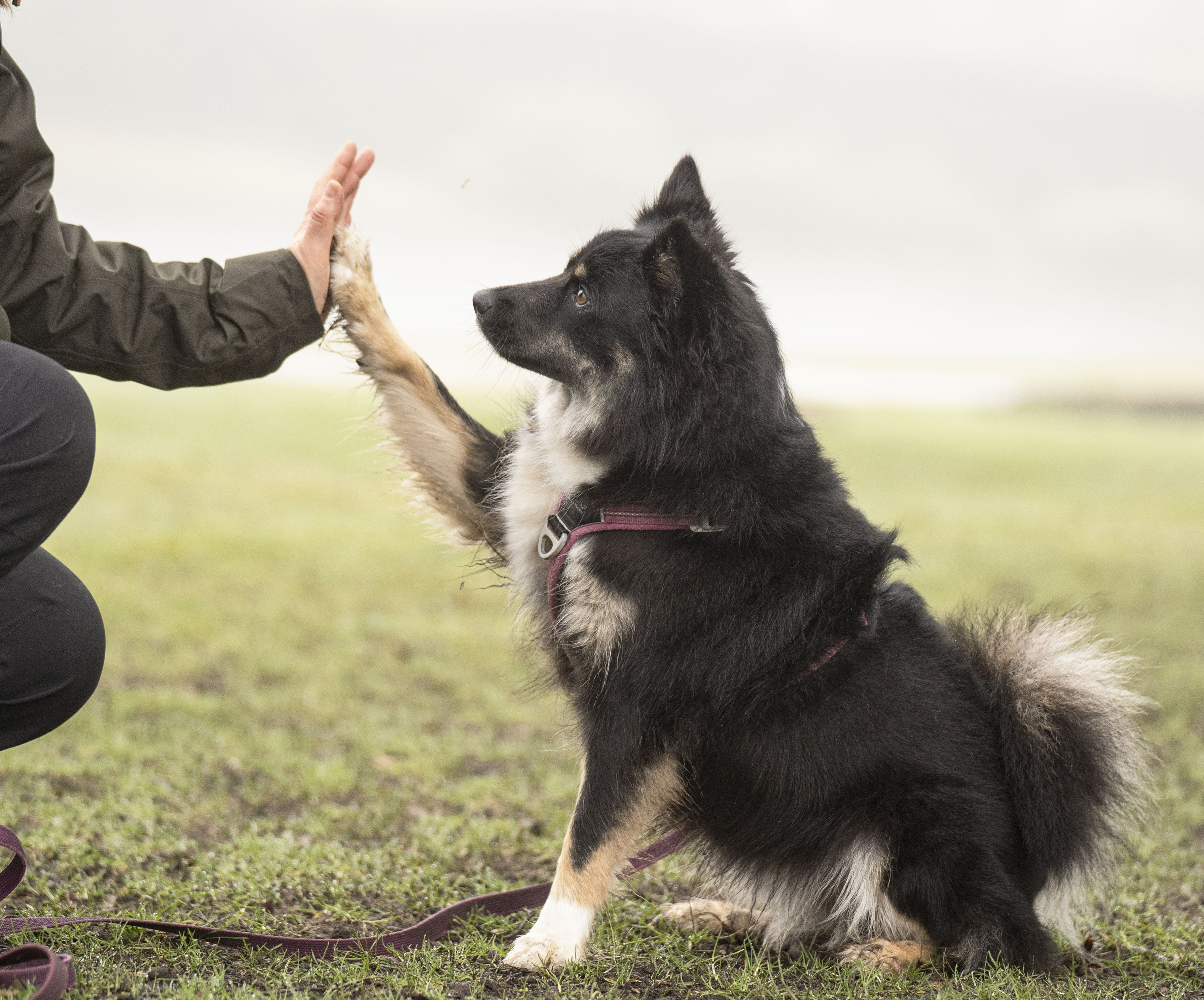 a group of people sitting outside looking at a laptop a group of people sitting outside looking at a laptop