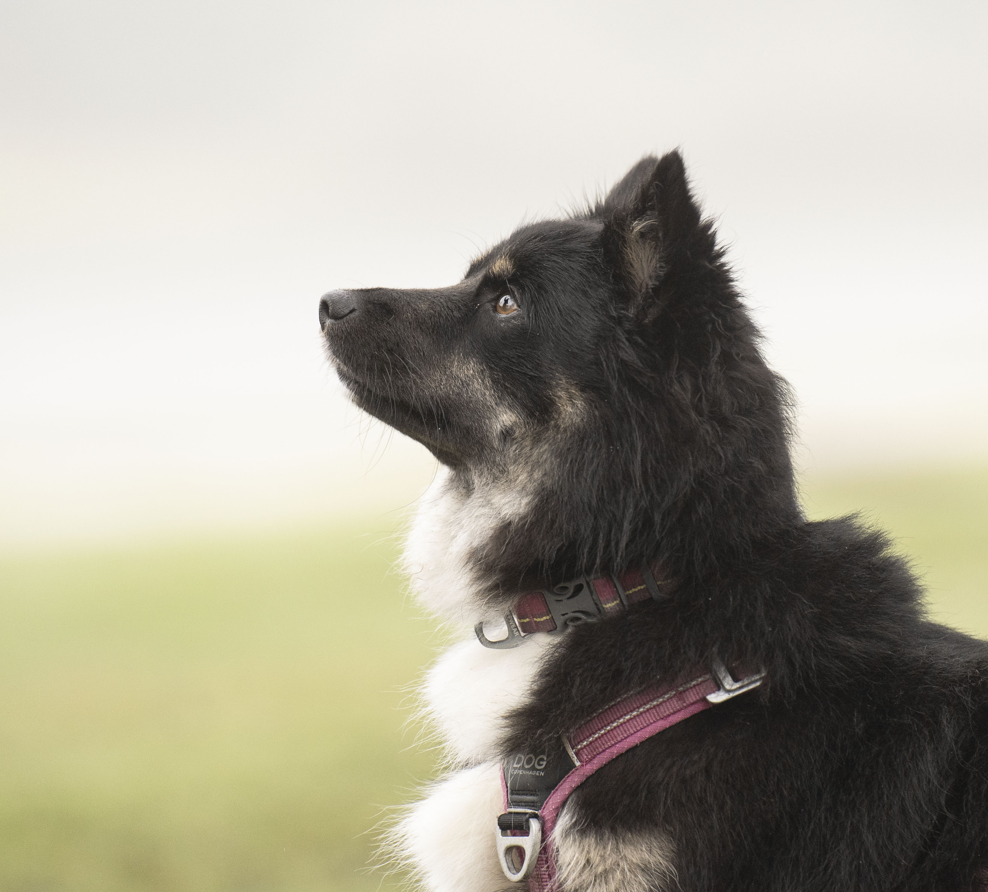 a group of people sitting outside looking at a laptop a group of people sitting outside looking at a laptop
