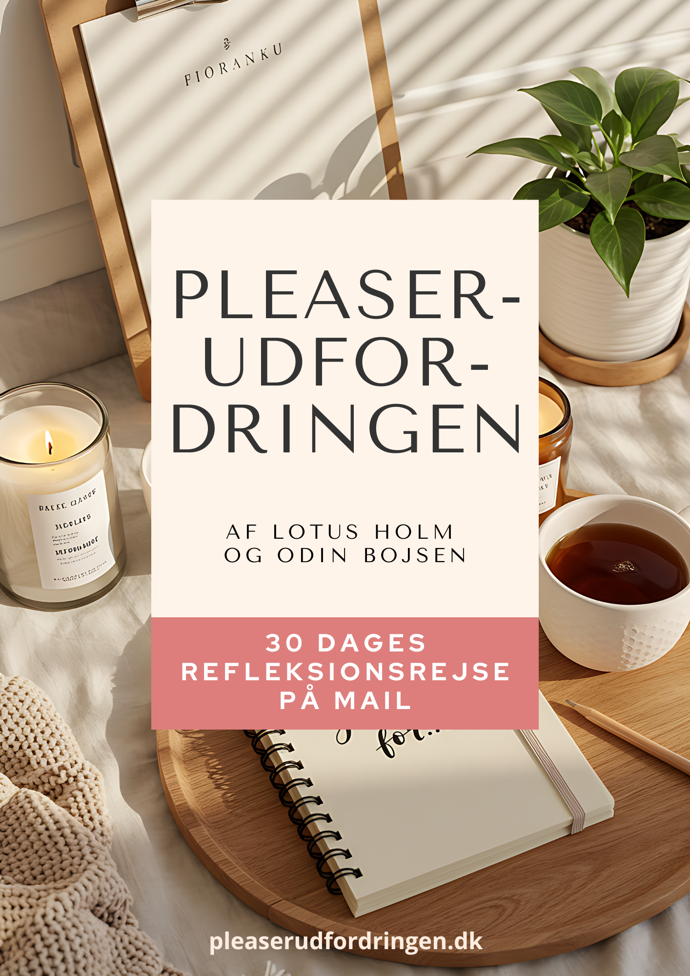 Pleaserudfordringen