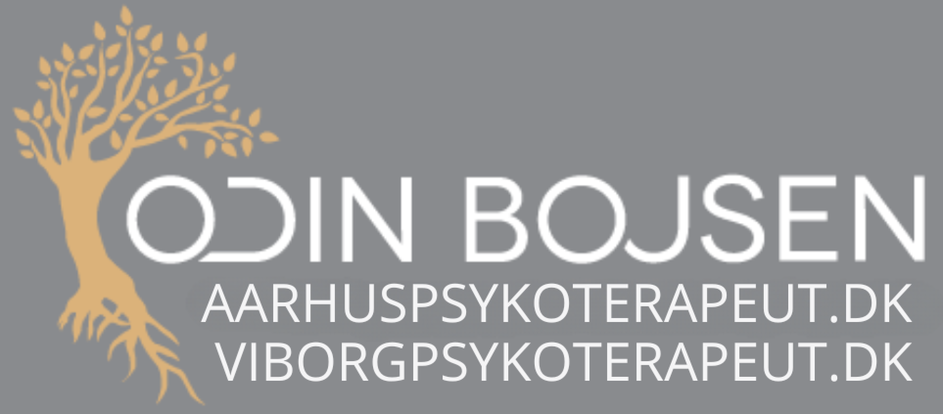 Odin Bojsen, Psykoterapeut i Aarhus og Viborg