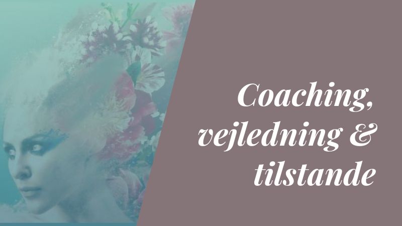Her ser vi på forskellige former for samtale, coaching og vejledning, samt hvordan du møder mennesker med respekt, klarhed og ro.