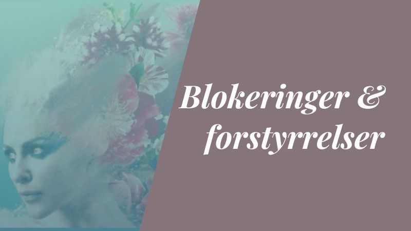 Her får du indsigt i, hvad der kan stå i vejen for kontakt, klarhed og flow, og hvordan du kan arbejde mere bevidst med det.
