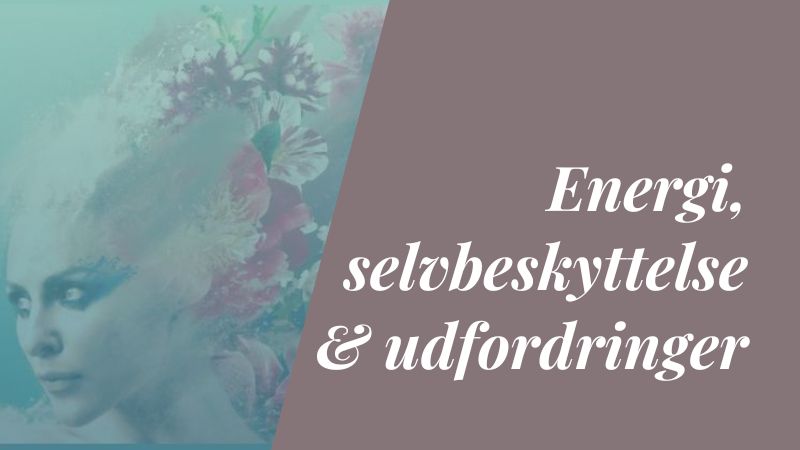 Her arbejder vi med grænser, beskyttelse og det, der kan forstyrre din kontakt og din stabilitet.