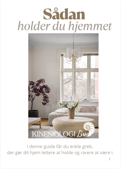 https://www.kinesiologi-liv.dk/
