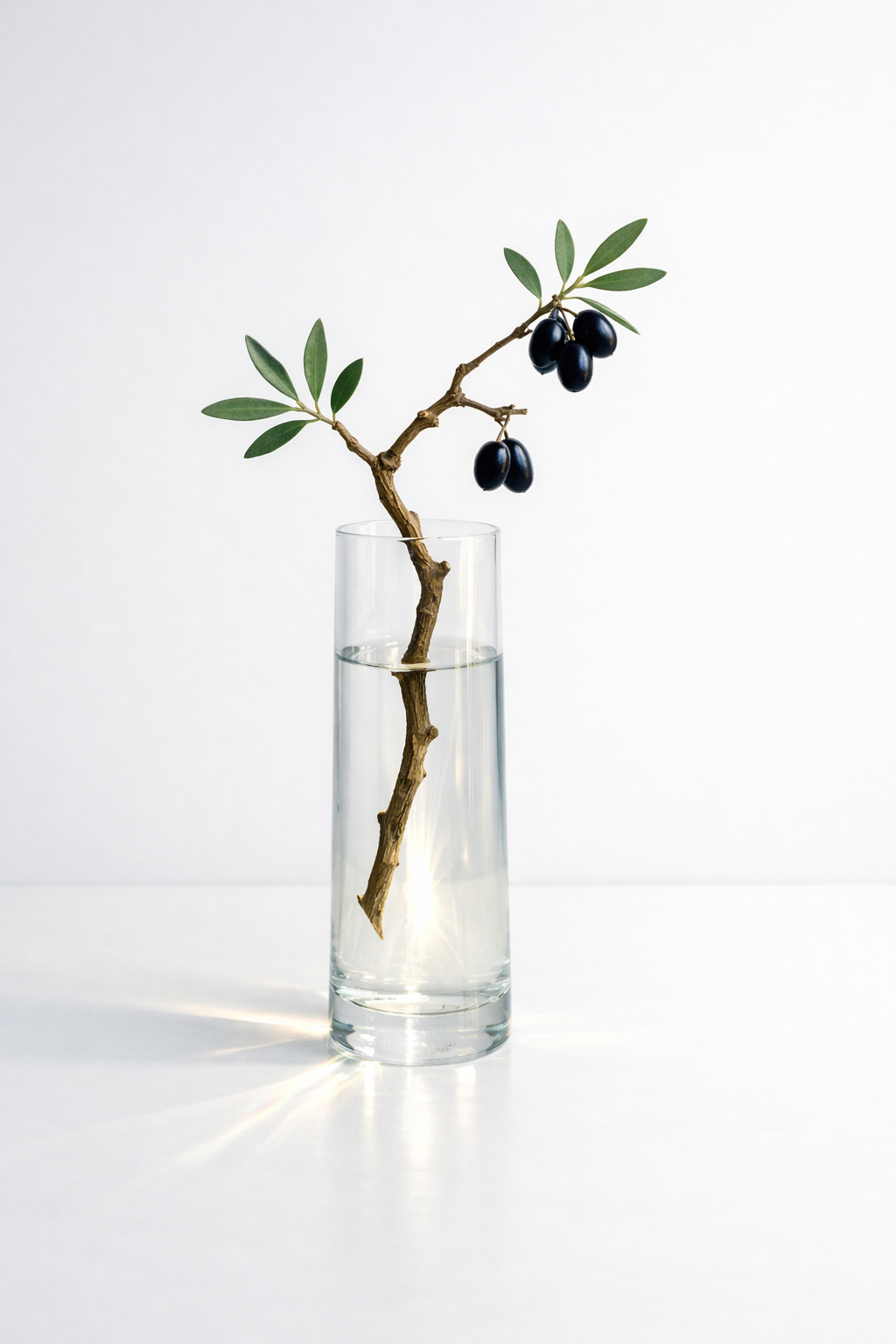 https://www.kinesiologi-liv.dk/