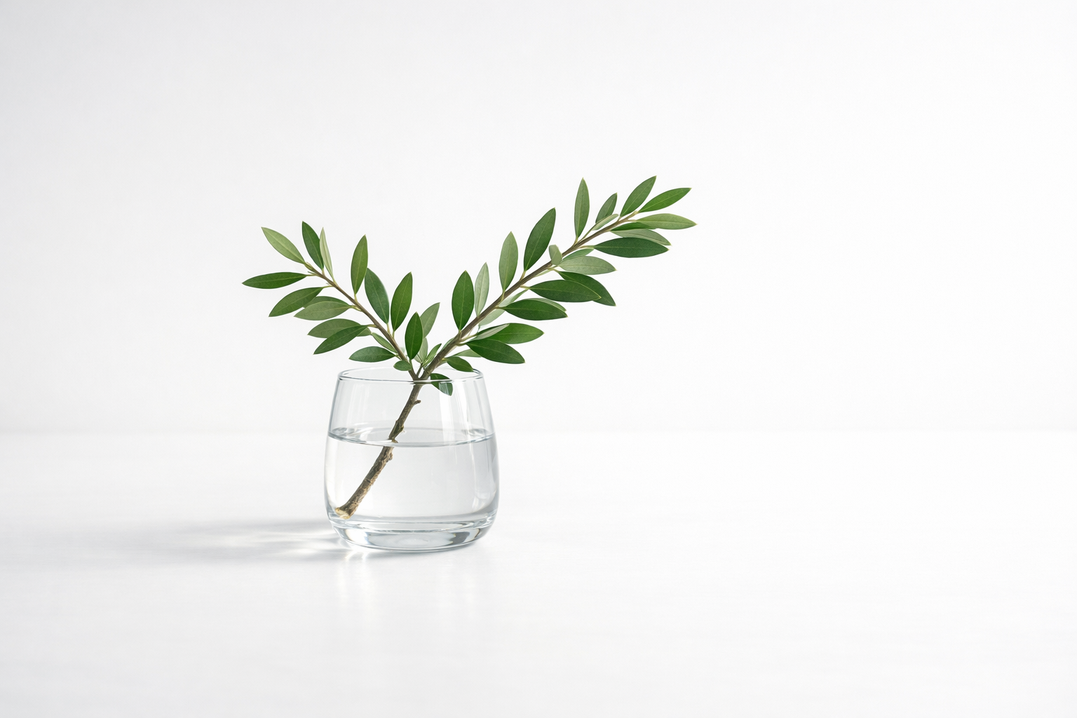 https://www.kinesiologi-liv.dk/