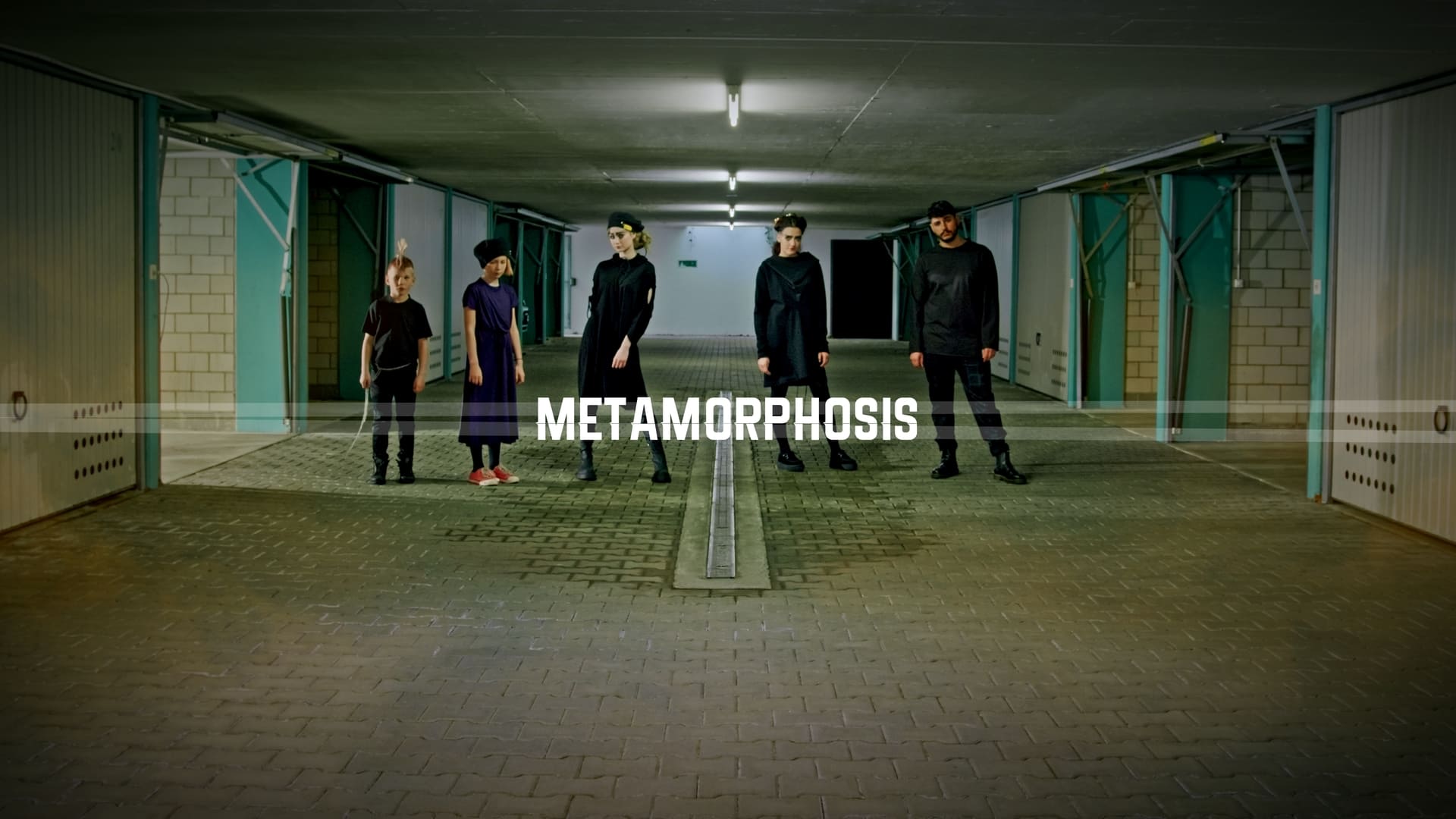 Image for Metamorphosis