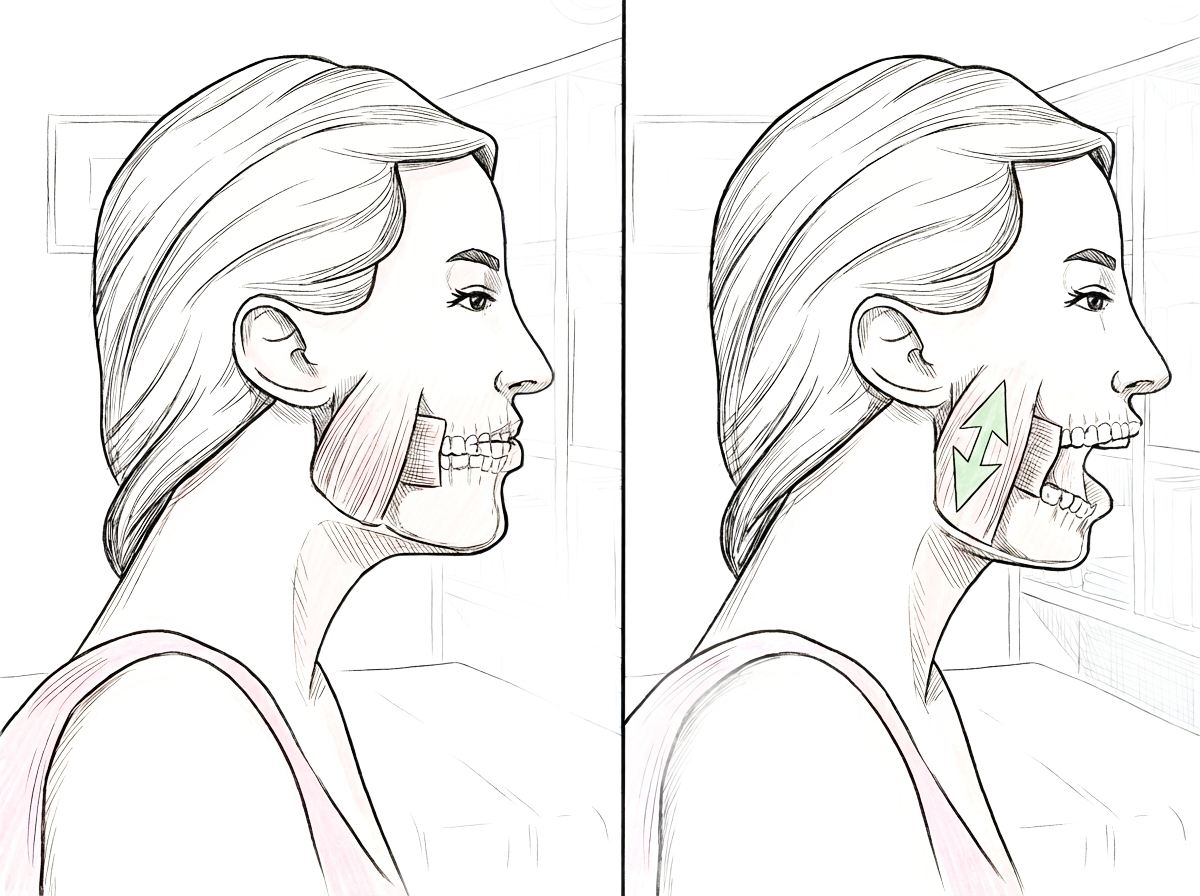 Side profile of a woman in two panels, showing closed and open mouth with muscle and jaw details.