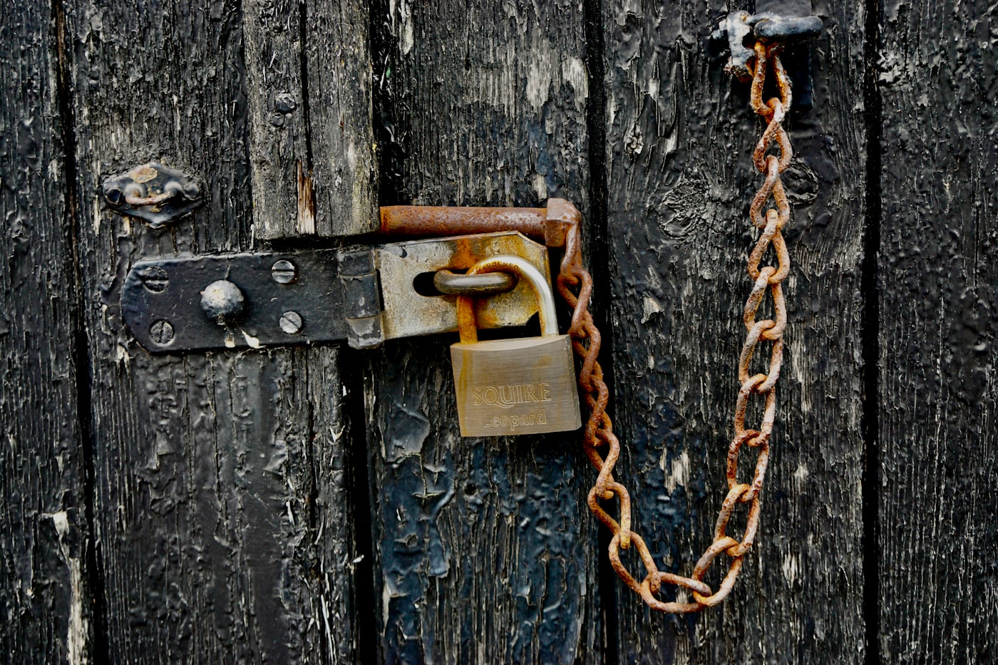 Google stopped taking your password