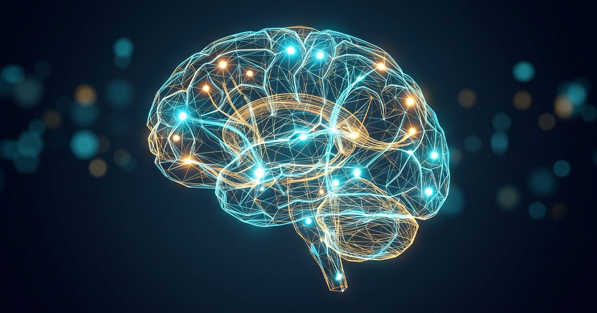 Illustration d’un cerveau bilingue avec des connexions neuronales entre deux langues.