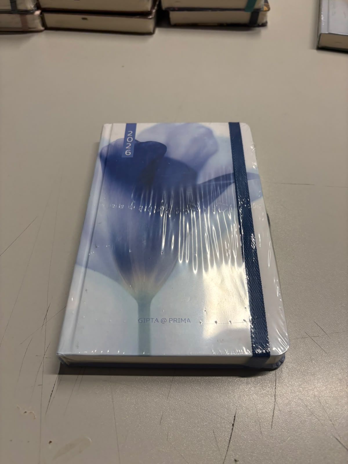GIPTA 139 PRİMA GÜNLÜK AJANDA 13 X 21