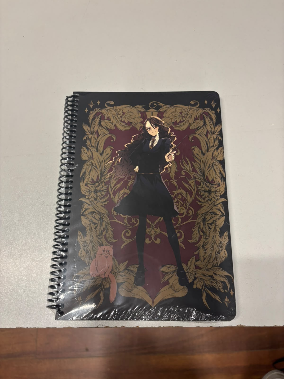 KESKİN 100 YAPRAK ÇİZGİLİ HARRY POTTER DEFTER