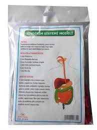 SİNDİRİM SİSTEMİ MODELİ 620