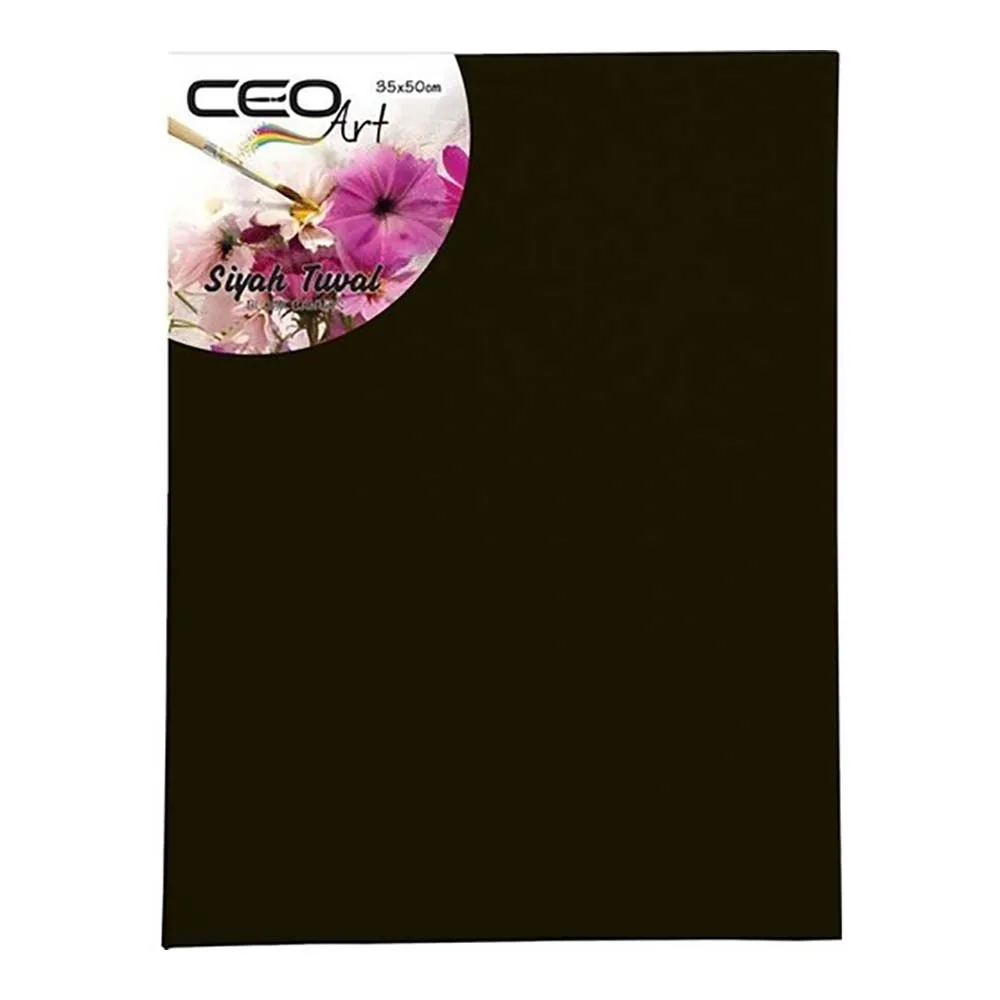 CEO ART SİYAH TUVAL 35X50 cm