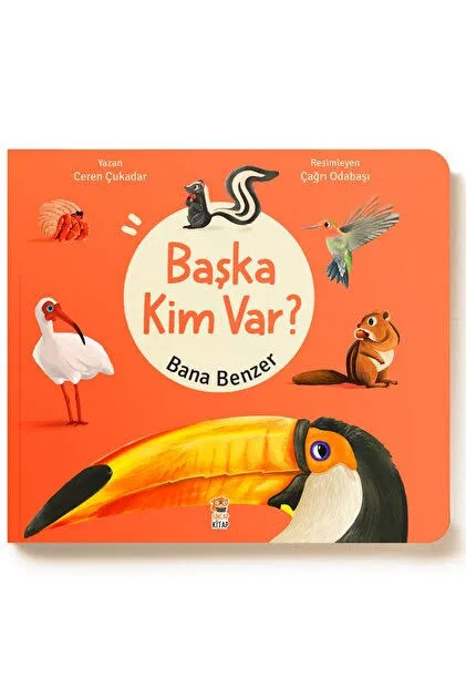 BAŞKA KİM VAR BANA BENZER