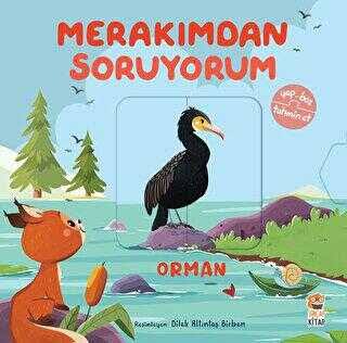 MERAKIMDAN SORUYORUM ORMAN