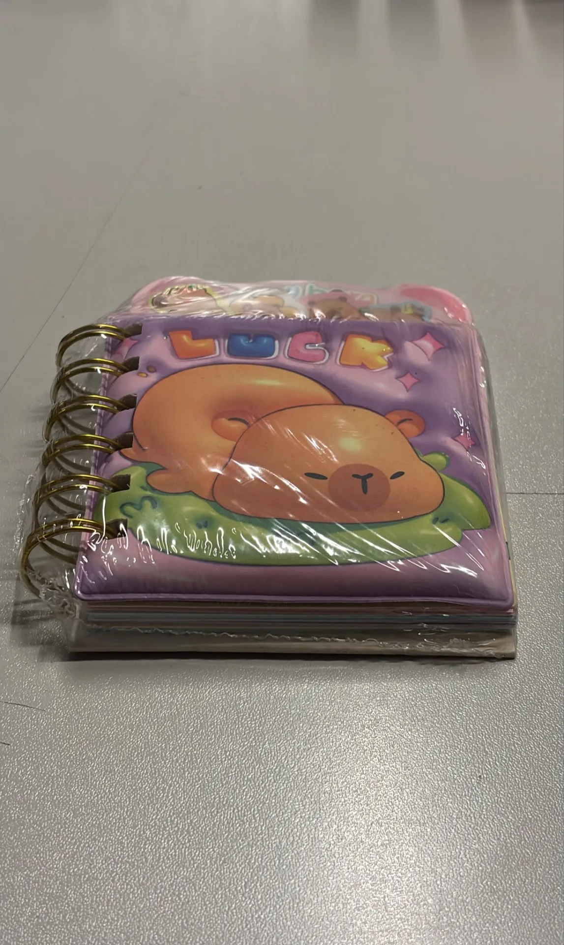CAPY BARA AND STİTCH DESENLİ TELLİ DEFTER
