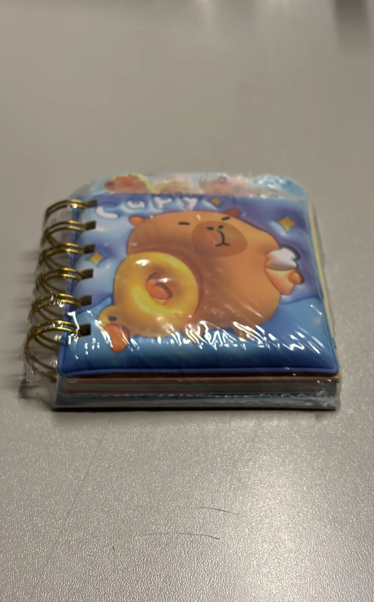 CAPY BARA AND STİTCH DESENLİ TELLİ DEFTER
