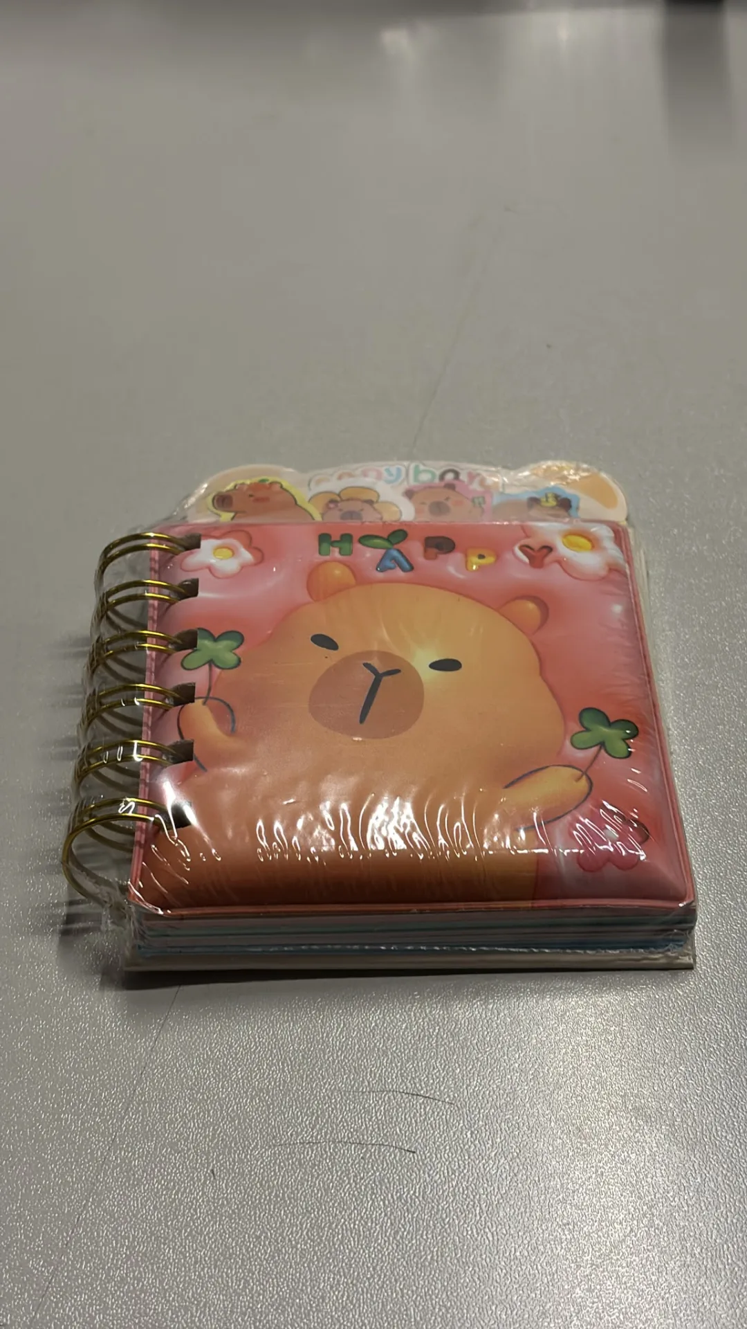 CAPY BARA AND STİTCH DESENLİ TELLİ DEFTER