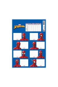 Spider Ders Prog.3Lü Etiket