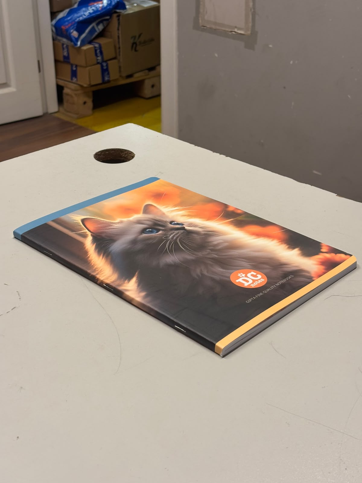 Model 3
