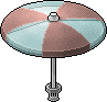 Parasol Coral