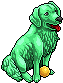 Perro Labrador Clorofila