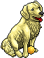 Perro Labrador Marfil