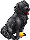 Perro Labrador Negro
