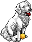 Perro Labrador Plata
