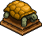 Tortuga Amarilla