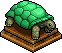 Tortuga Clorofila