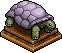 Tortuga Lavanda