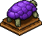 Tortuga Malva